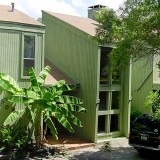 Mexican Contemporary