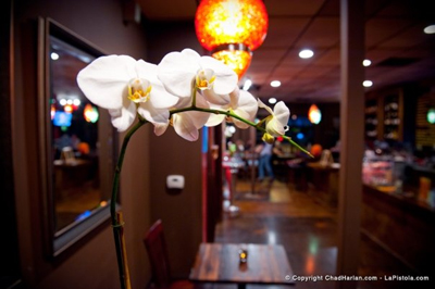 Apothecary Cafe and Bar