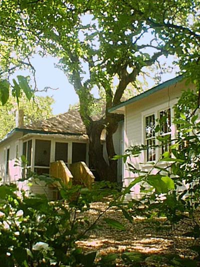 1917 Arts & Crafts Remodel